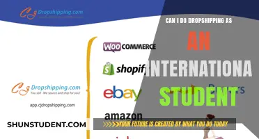 Dropshipping: International Students' Side Hustle?