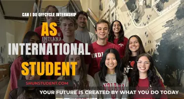 Off-Cycle Internships: International Student Opportunities?