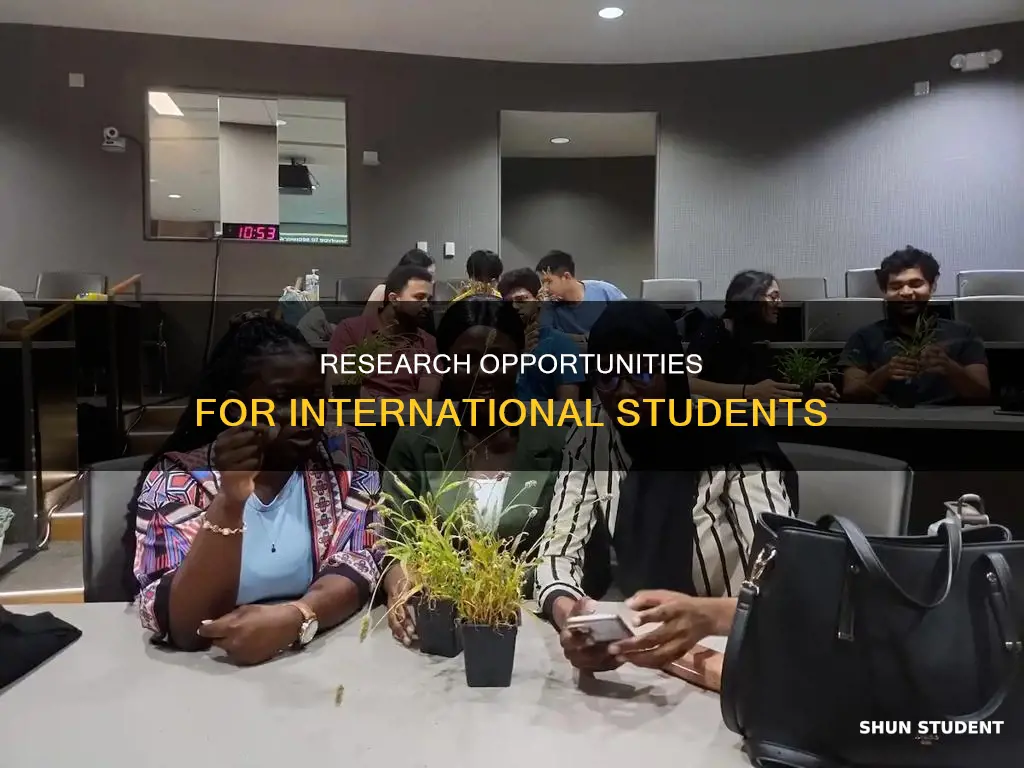 can i do research as an international student