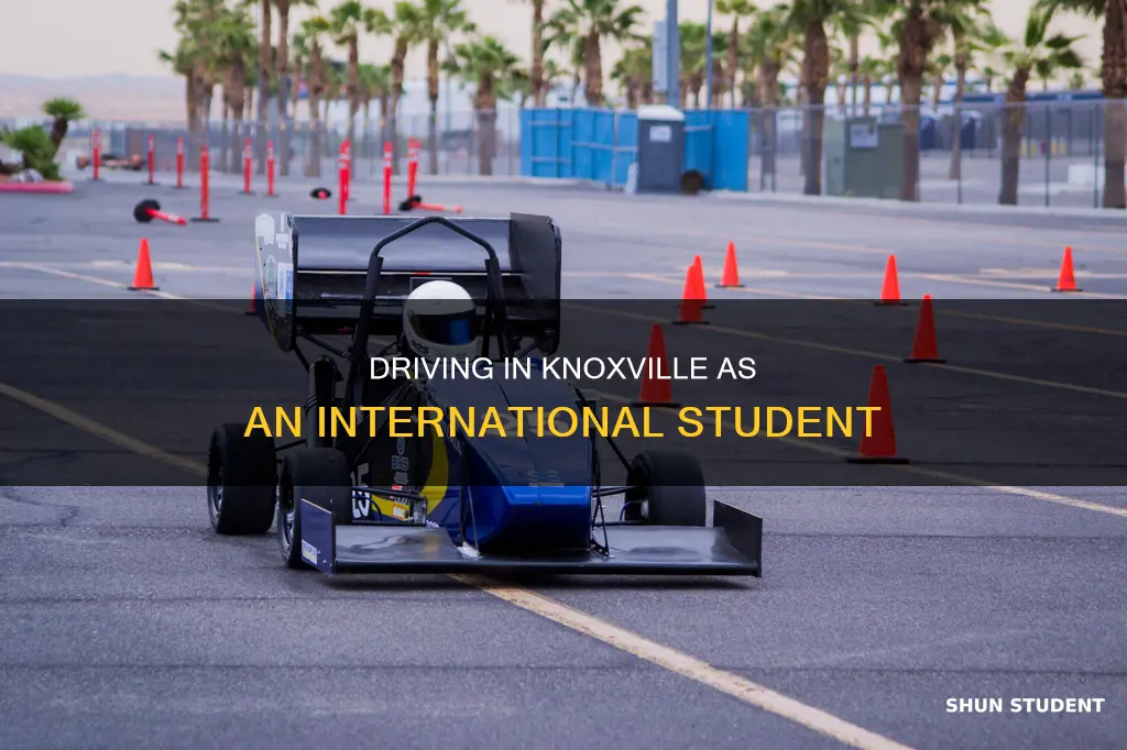 can i drive car in knoxville as an international student