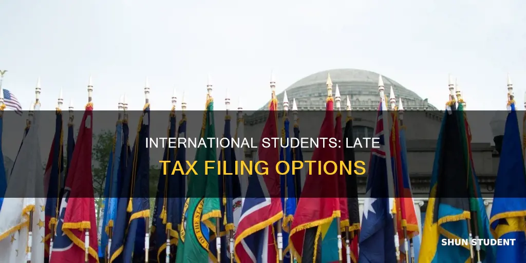 can i file after april 15th international student