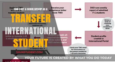 Transfer International Students: Scholarship Opportunities