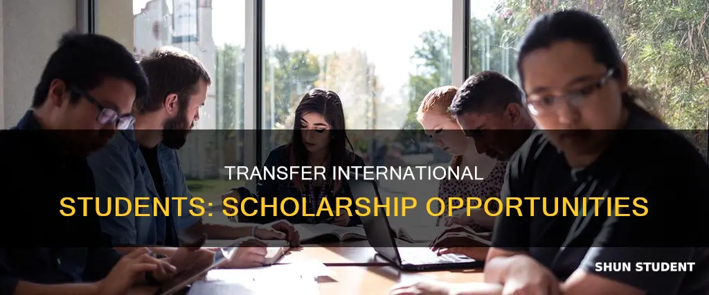 can i get a scholarship as a transfer international student