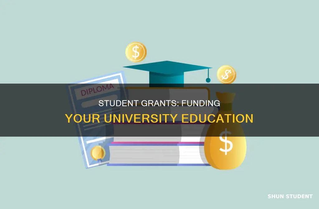 can i get a student grant for university