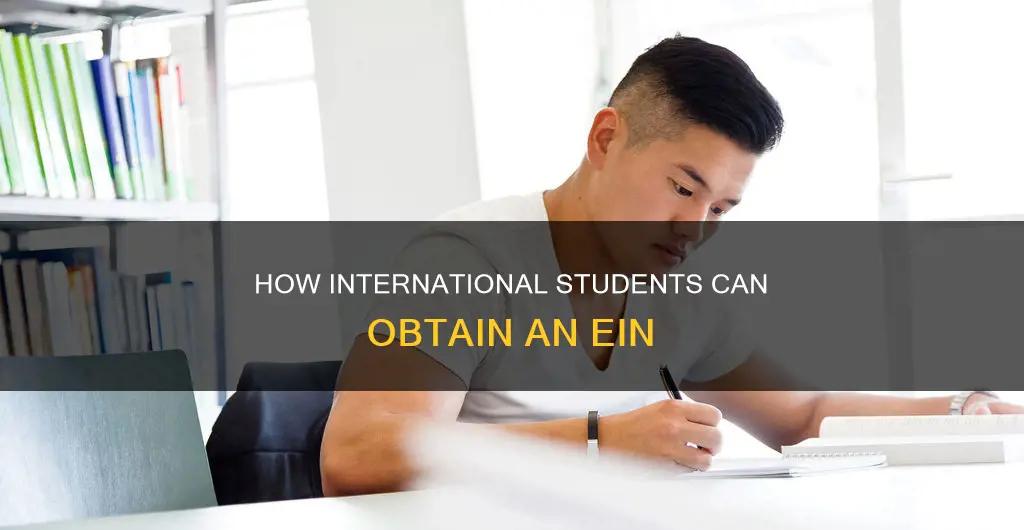 can i get ein as an international student