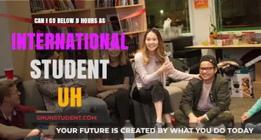 International Student's Guide to a Successful Semester