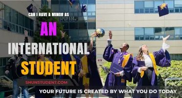 Studying Abroad: Minoring as an International Student
