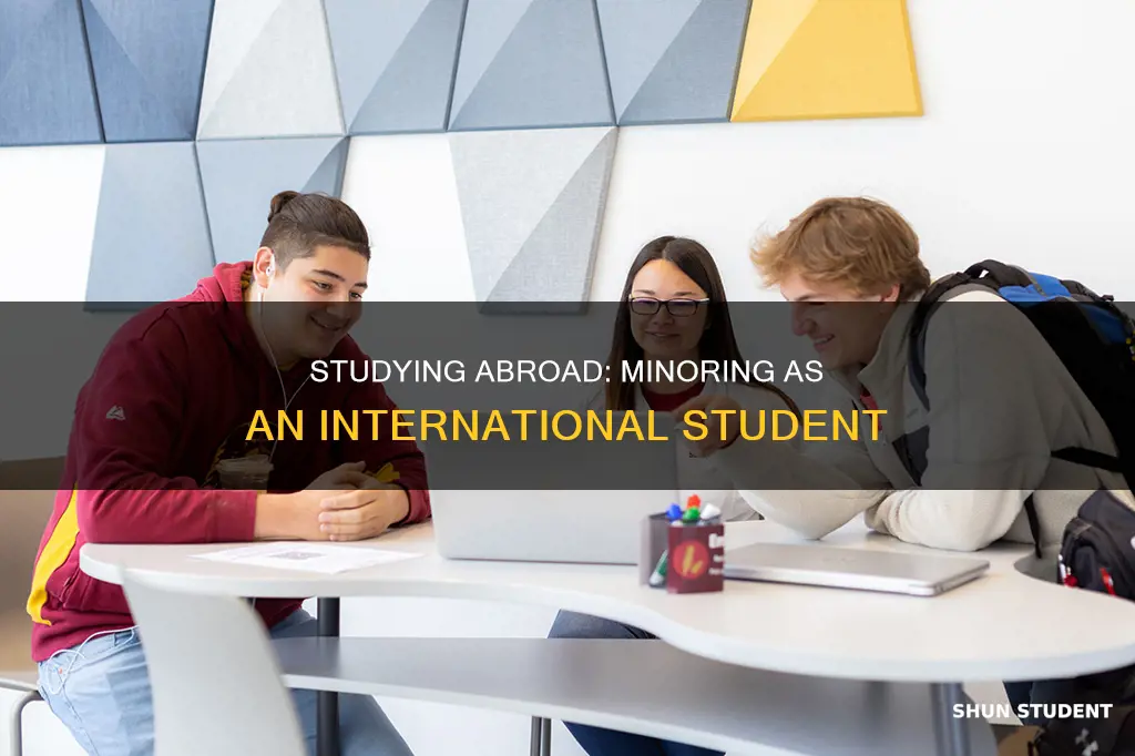 can i have a minor as an international student