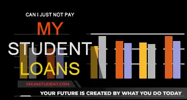 Student Loan Payment: What Are My Options?