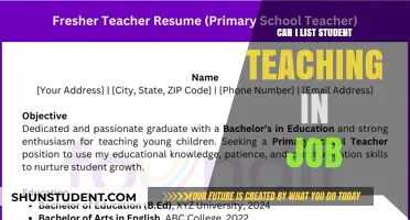 Should You Include Student Teaching Experience on Your Job Application?