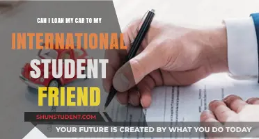 Loaning Your Car to an International Student Friend: Is it Possible?