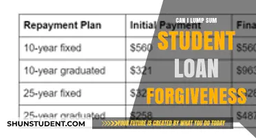 Lump Sum Student Loan Forgiveness: Is It a Viable Option?