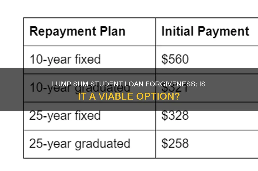 can i lump sum student loan forgiveness