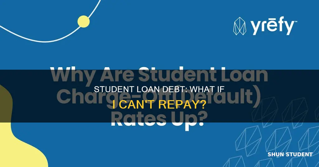 can i not pay back my student loan