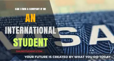 International Students: Can They Own Businesses?