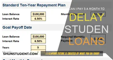 Delaying Student Loans: Is $5 a Month Enough?