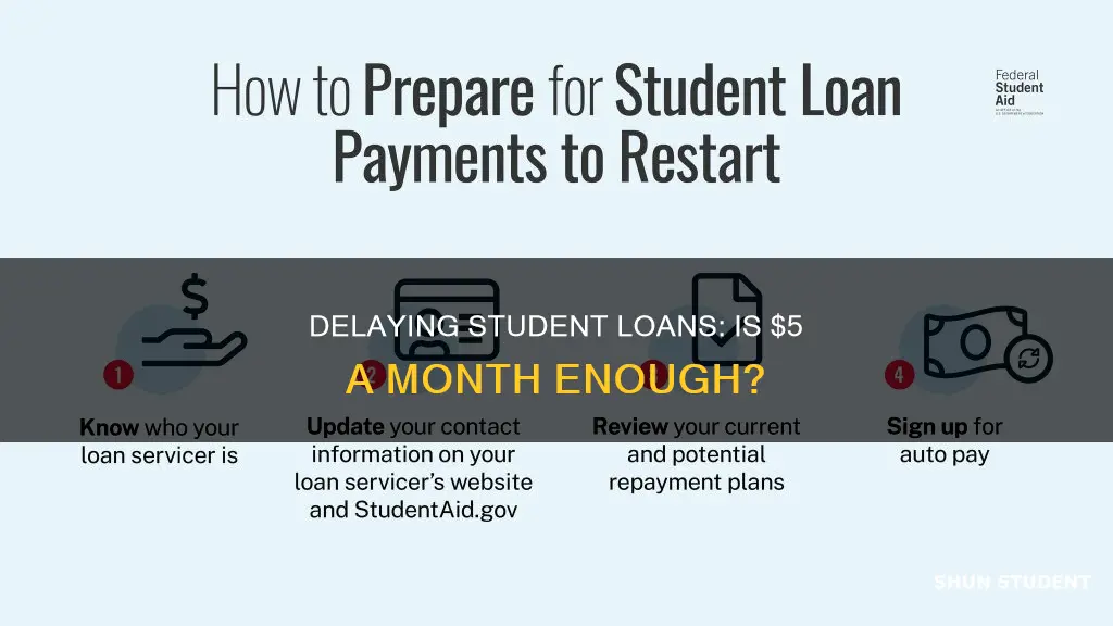 can i pay 5 a month to delay student loans