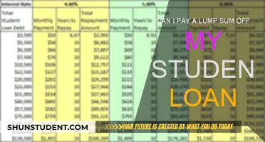 How to Make a Lump Sum Payment on Student Loans