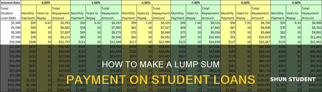 can i pay a lump sum off my student loan