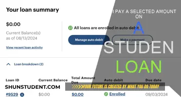 Student Loan Payment Strategies: Paying Less Than Owed