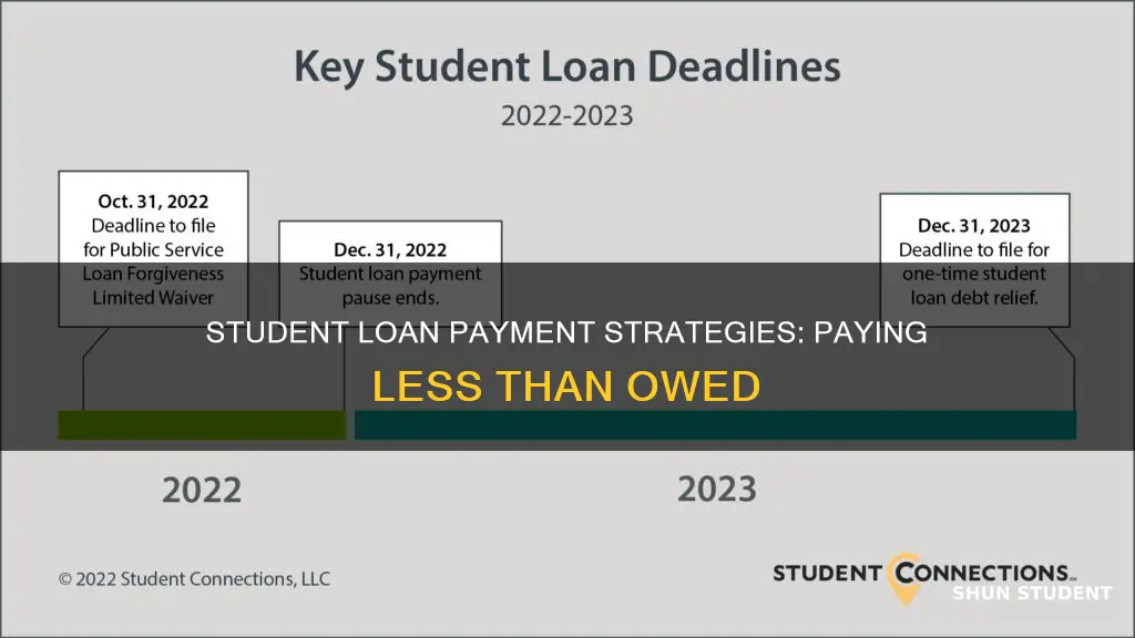 can i pay a selected amount on a student loan