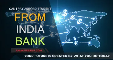 Sending Money to International Students: Indian Banks' Role
