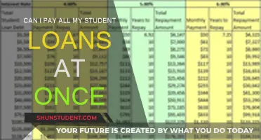Student Loans: One-Time Payment Possibility?