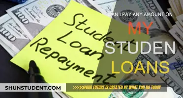 Student Loan Payment Flexibility: Can I Pay Any Amount?