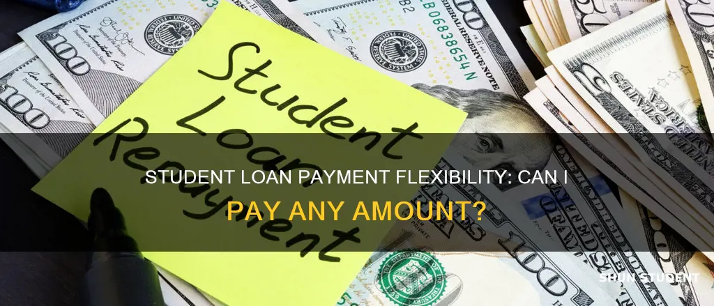 can i pay any amount on my student loans