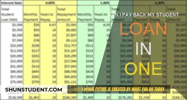 How to Repay Student Loans in One Fell Swoop