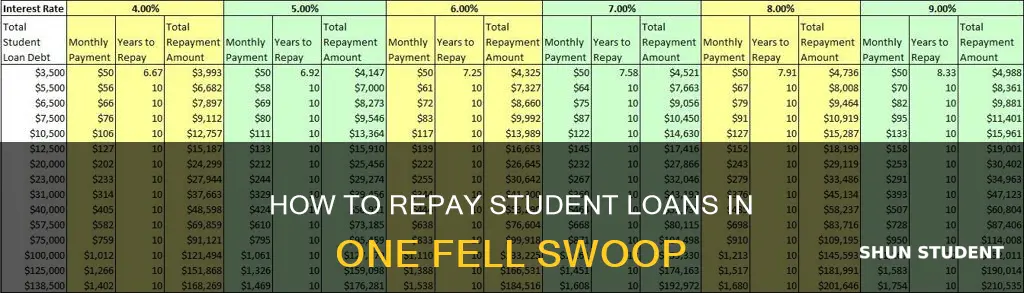 can i pay back my student loan in one