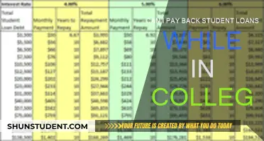 Repaying Student Loans: Should You Start in College?