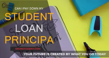 How to Reduce Student Loan Principal: Strategies to Explore