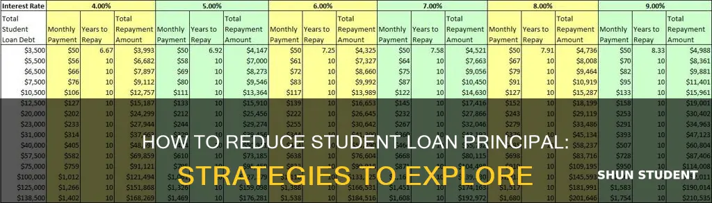 can i pay down my student loan principal
