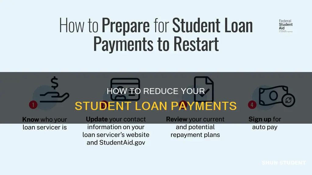 can i pay less of monthly student loan payment