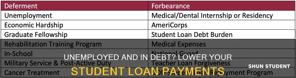 can i pay lower student loans if i