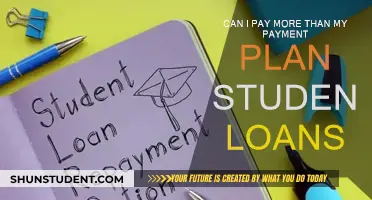 Paying More Than Your Student Loan Payment Plan