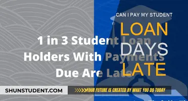 Late Student Loan Payment: What Are My Options?