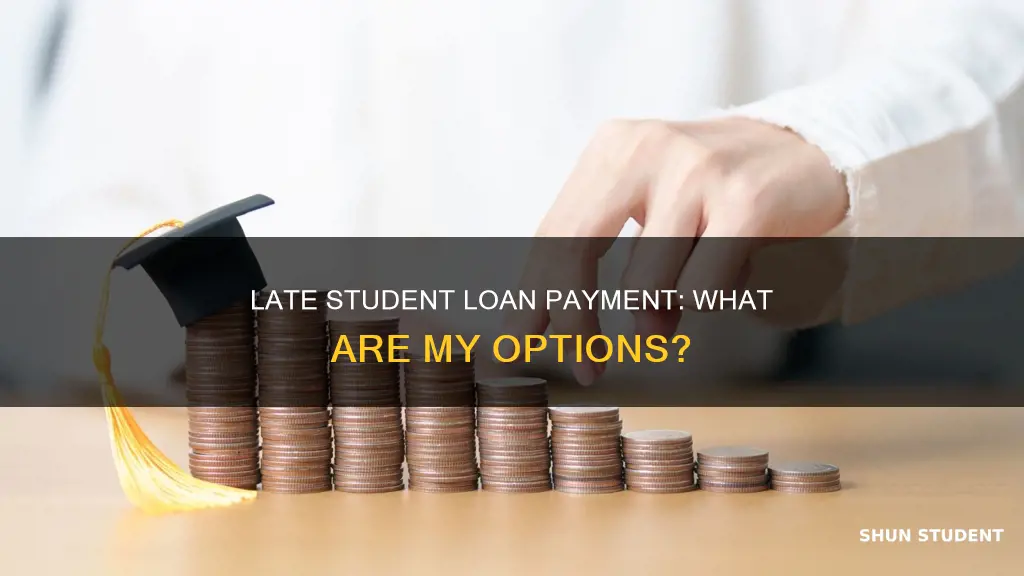 can i pay my student loan days late