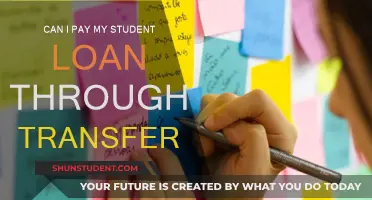 TransferWise for Student Loan Payments: Is It Possible?