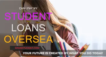 Paying Student Loans While Abroad: Is It Possible?