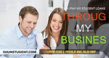 Business Owners: Repay Student Loans Strategically
