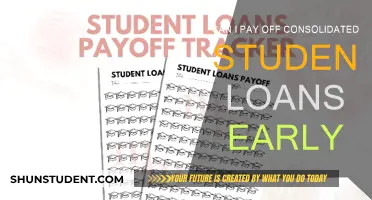 Paying Off Consolidated Student Loans: Early Strategies