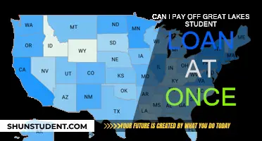 Paying Off Great Lakes Student Loans: One-Time Payment
