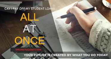 Paying Off Student Loans: One-Time Payment Option