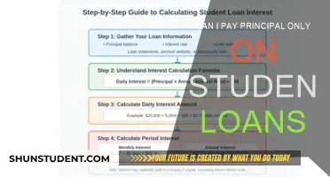 Paying Student Loans: Principal-Only Payments