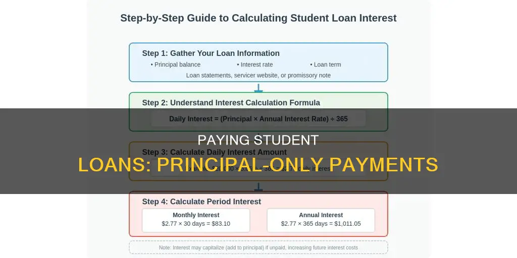 can i pay principal only on student loans