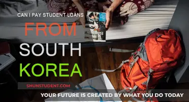 Student Loans: Repayment Options for Expats in South Korea