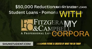 Corporations: Can They Pay Off Your Student Loans?