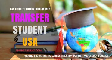 How Students in the USA Can Receive International Money Transfers